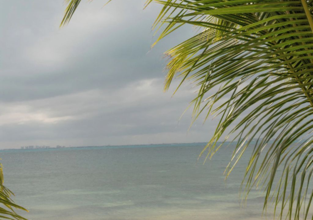 Photo of Others in Isla Mujeres