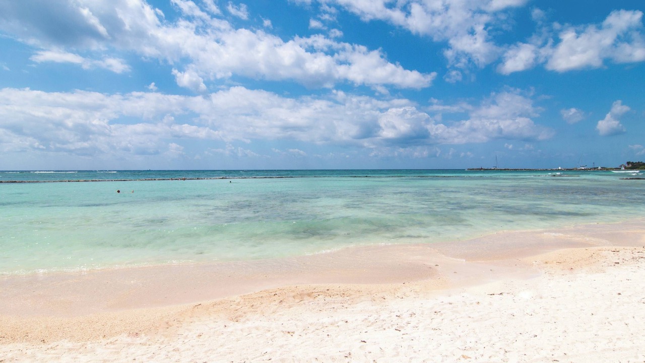 Photo of Others in Puerto Aventuras