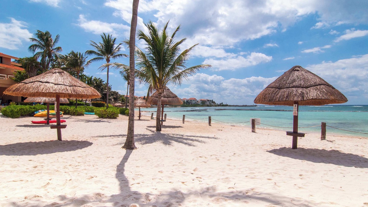 Photo of Others in Puerto Aventuras