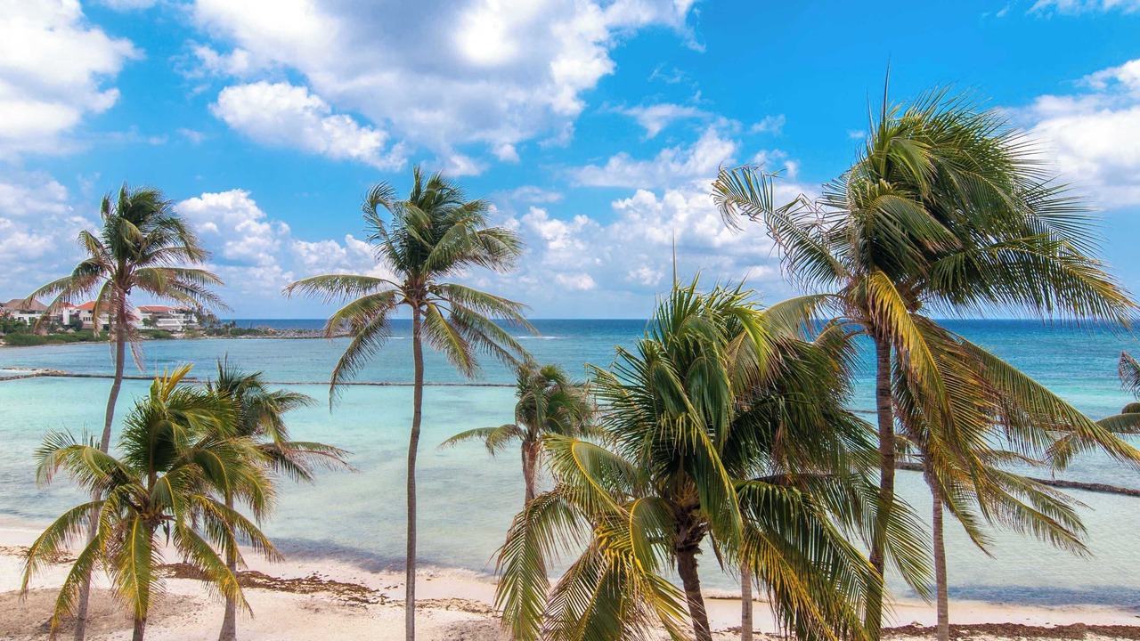 Photo of Others in Puerto Aventuras