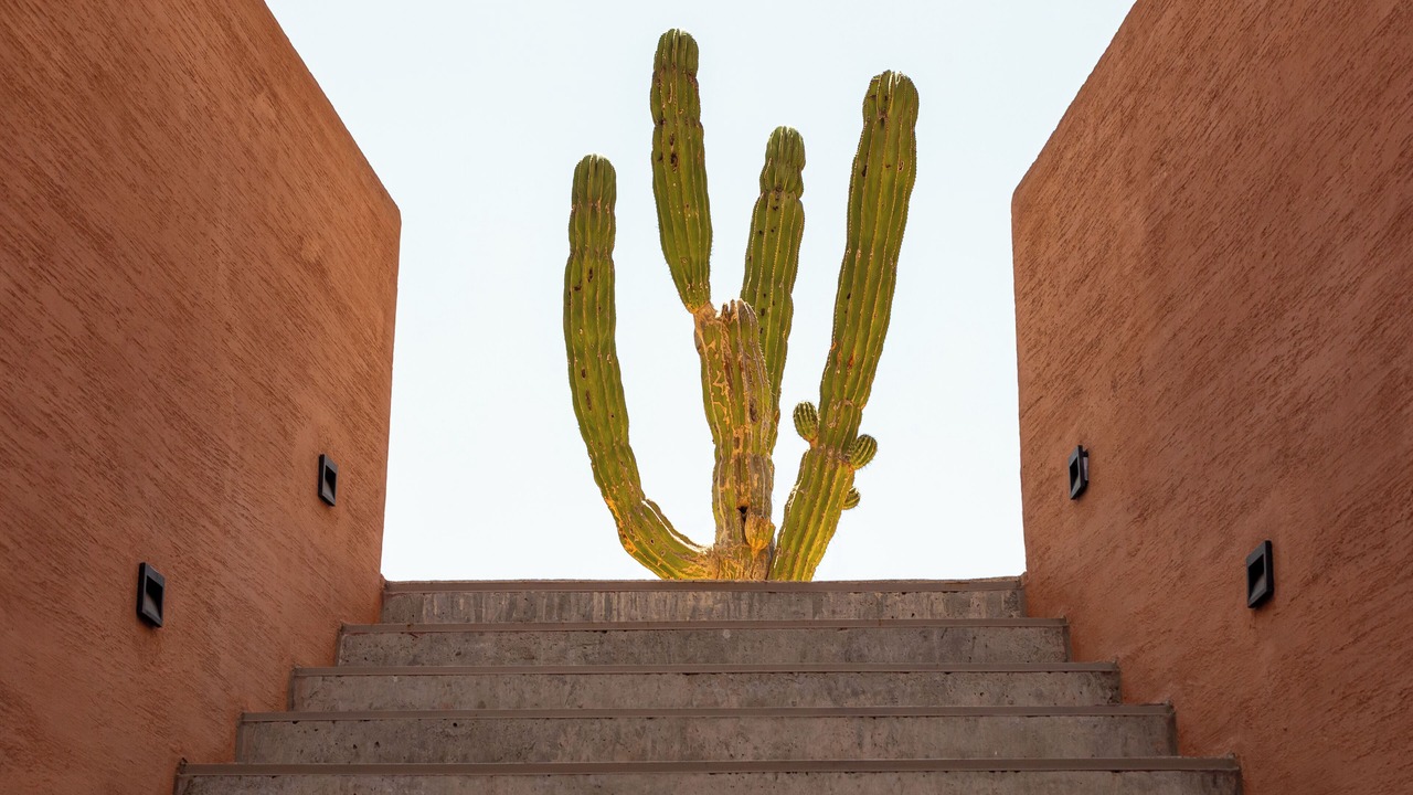 Photo of Others in El Tezal