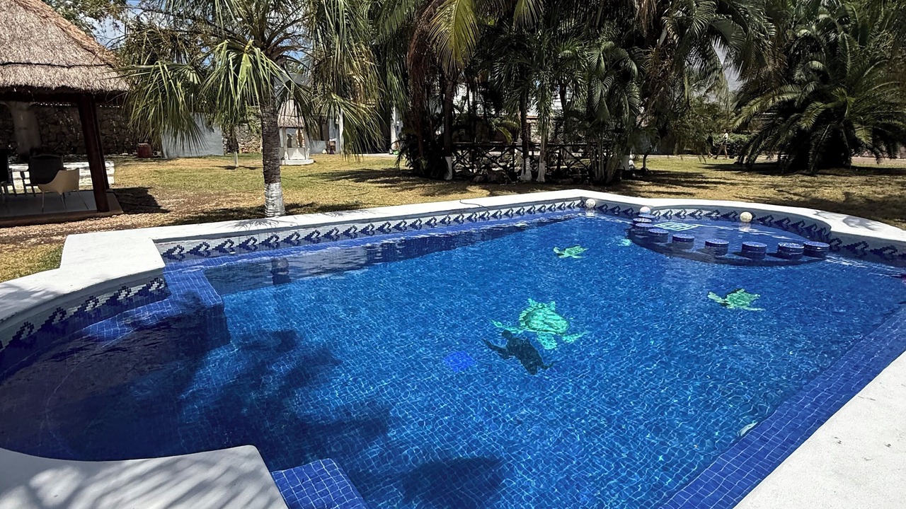 Photo of Outdoor in Alfredo V. Bonfil