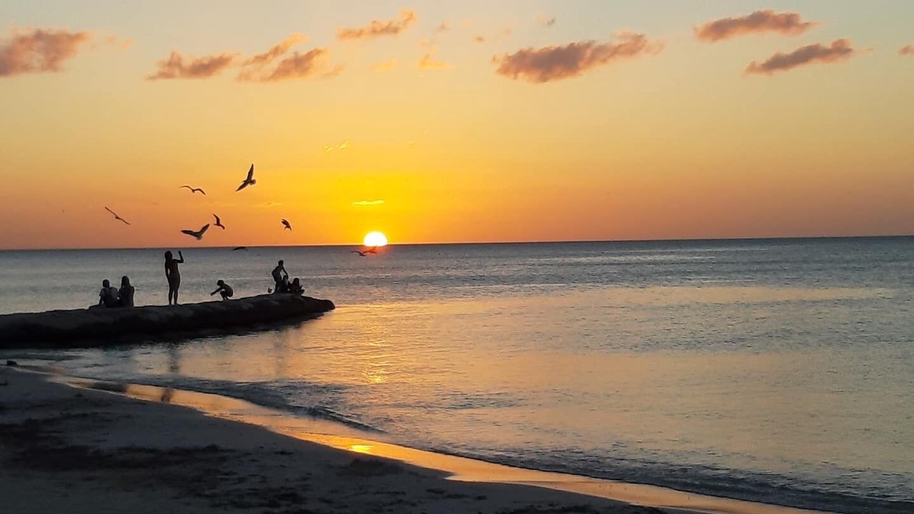 Photo of Others in Isla Holbox