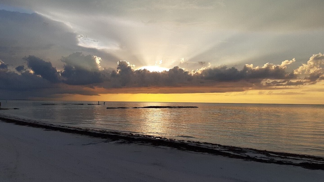 Photo of Others in Isla Holbox