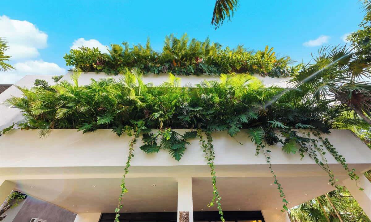 Photo of Outdoor in Ek Balam Village