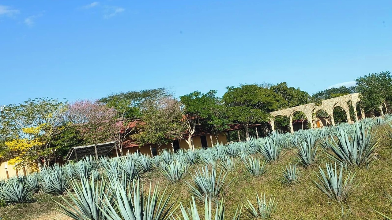 Photo of Outdoor in Cancun