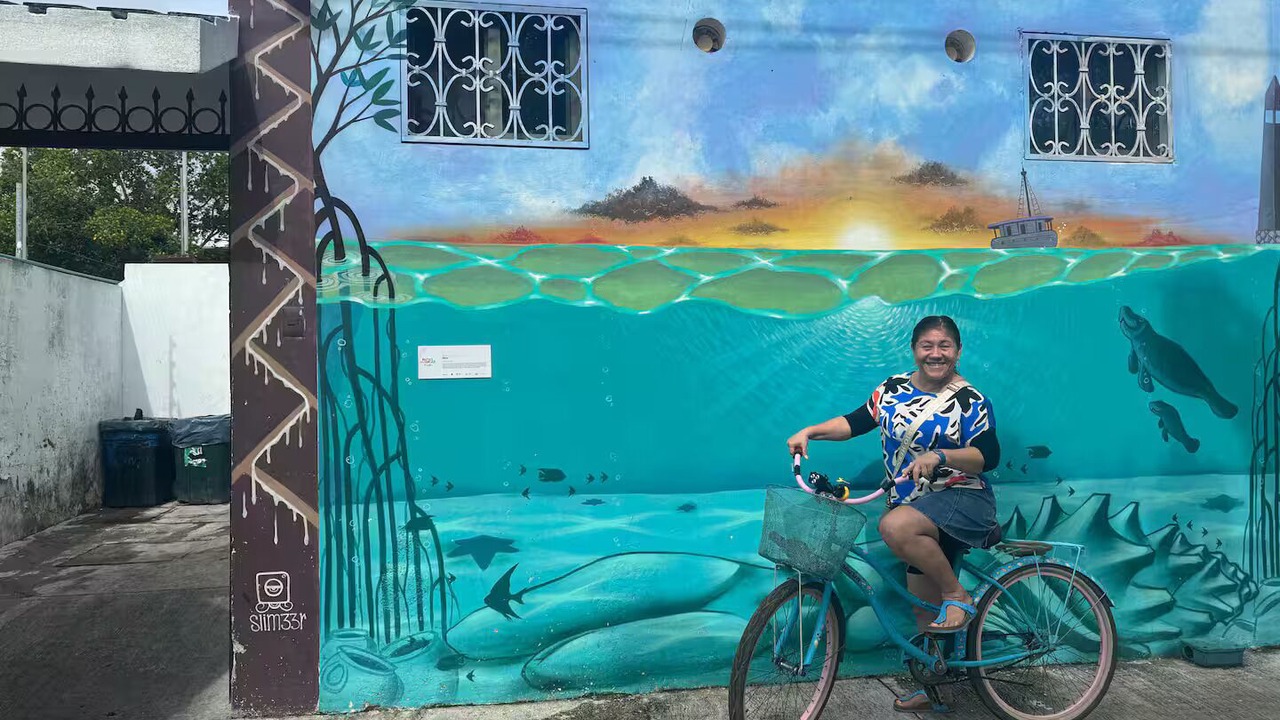 Photo of Others in Chetumal