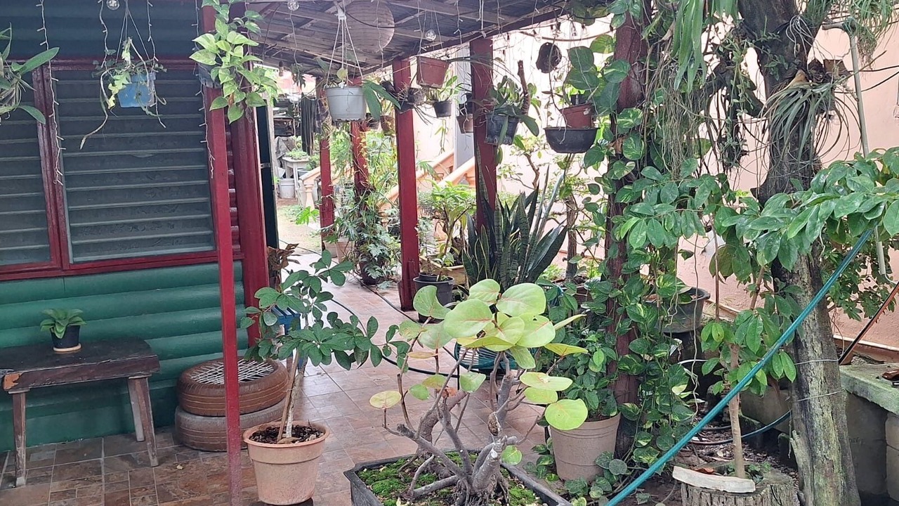 Photo of Outdoor in Chetumal