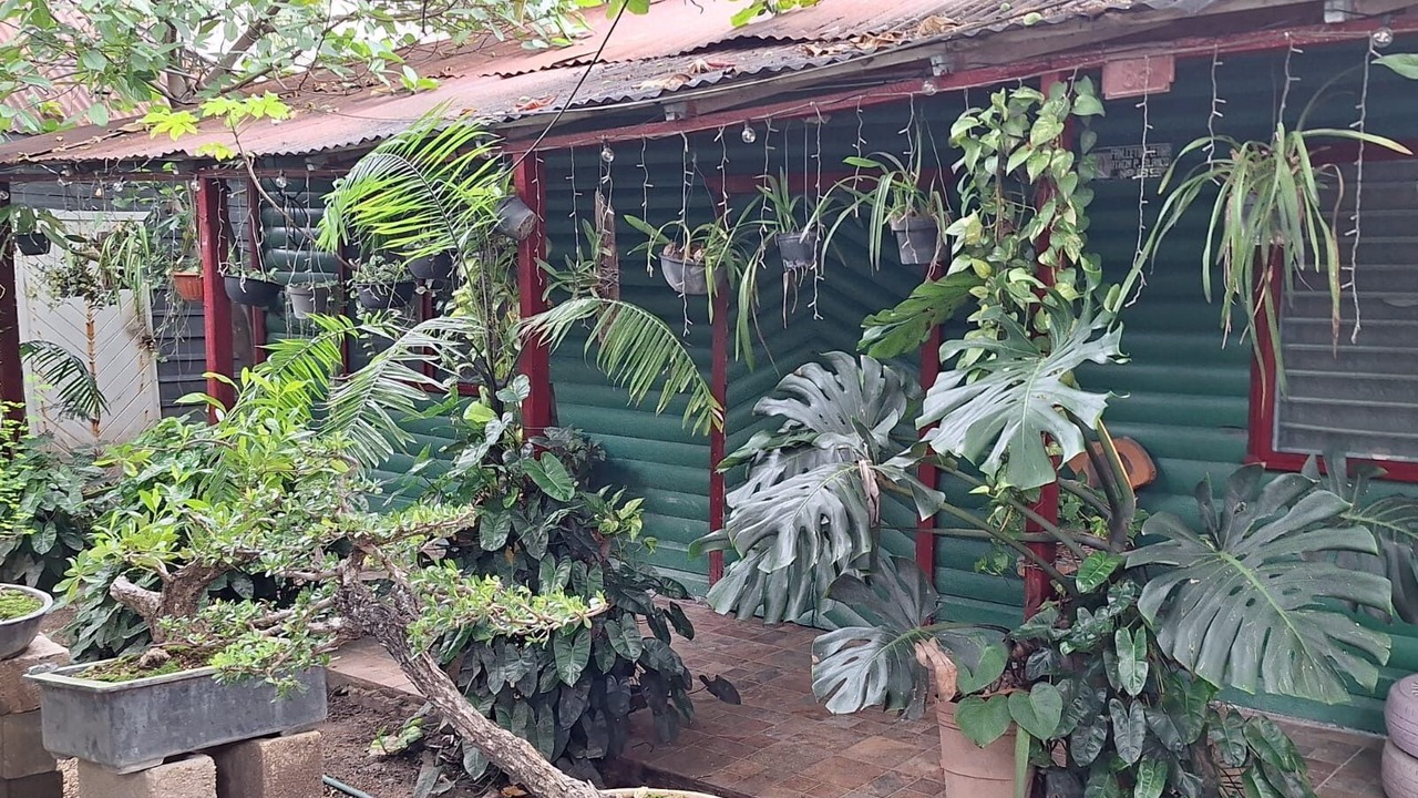 Photo of Outdoor in Chetumal
