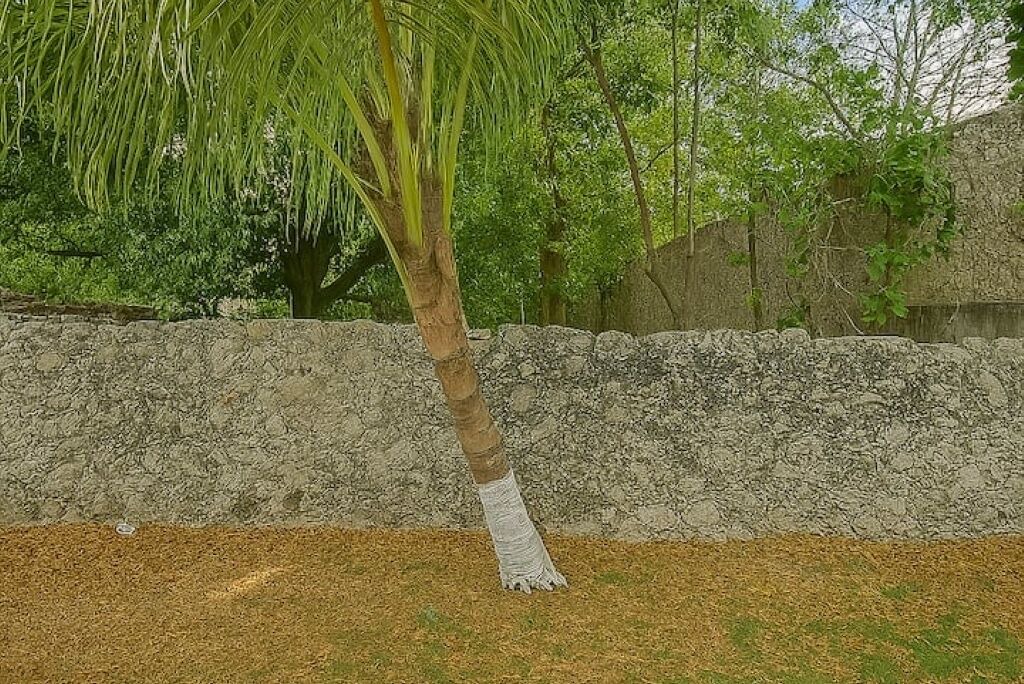 Photo of Outdoor in Merida Municipality