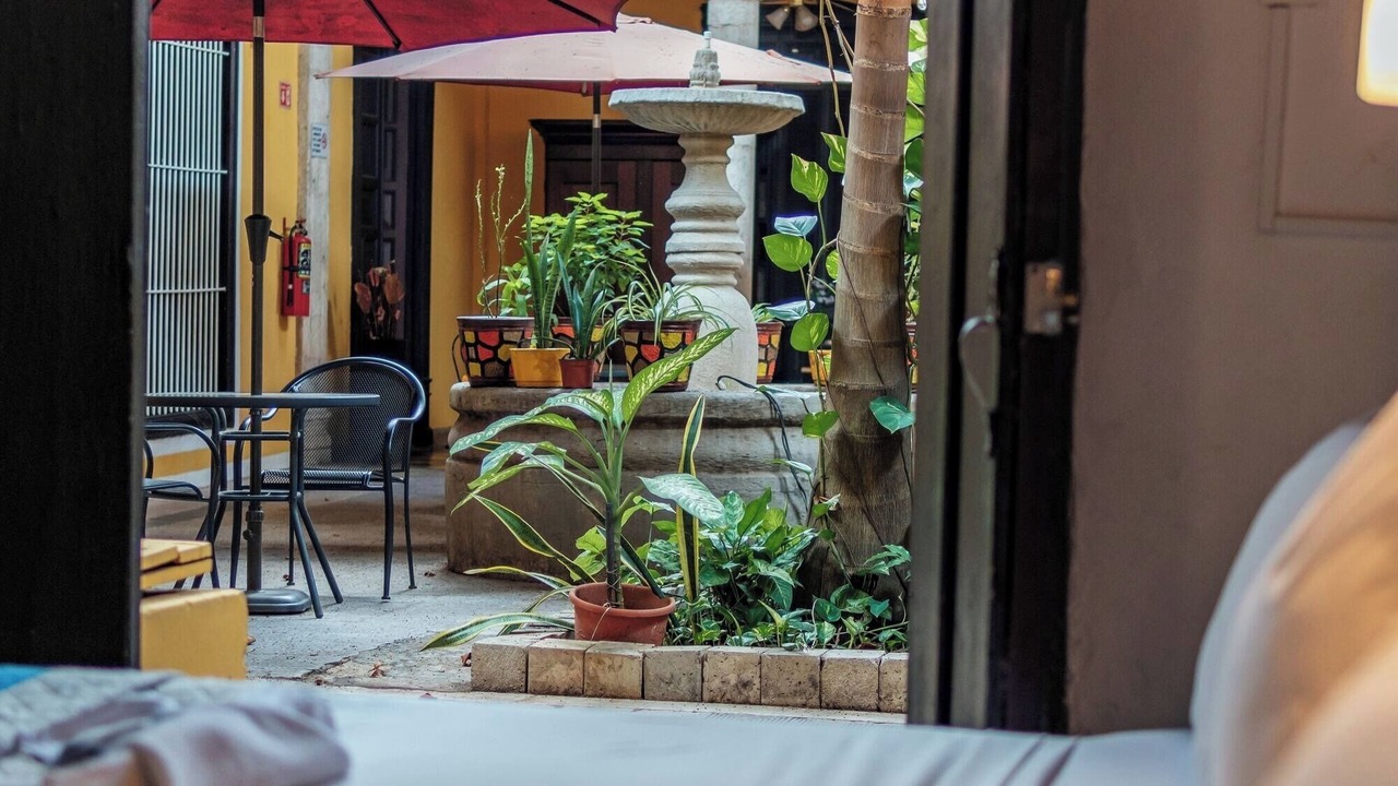 Photo of Outdoor in Centro