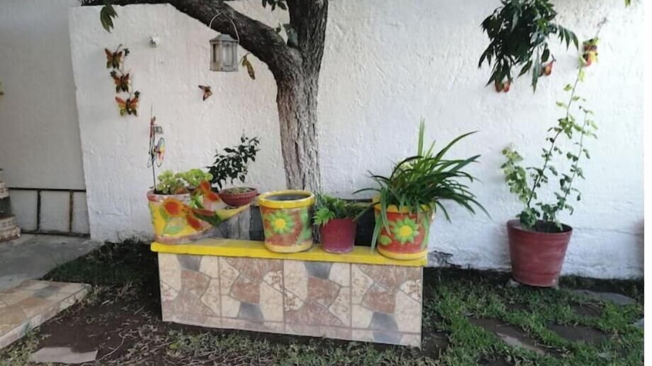 Photo of Outdoor in Saltillo