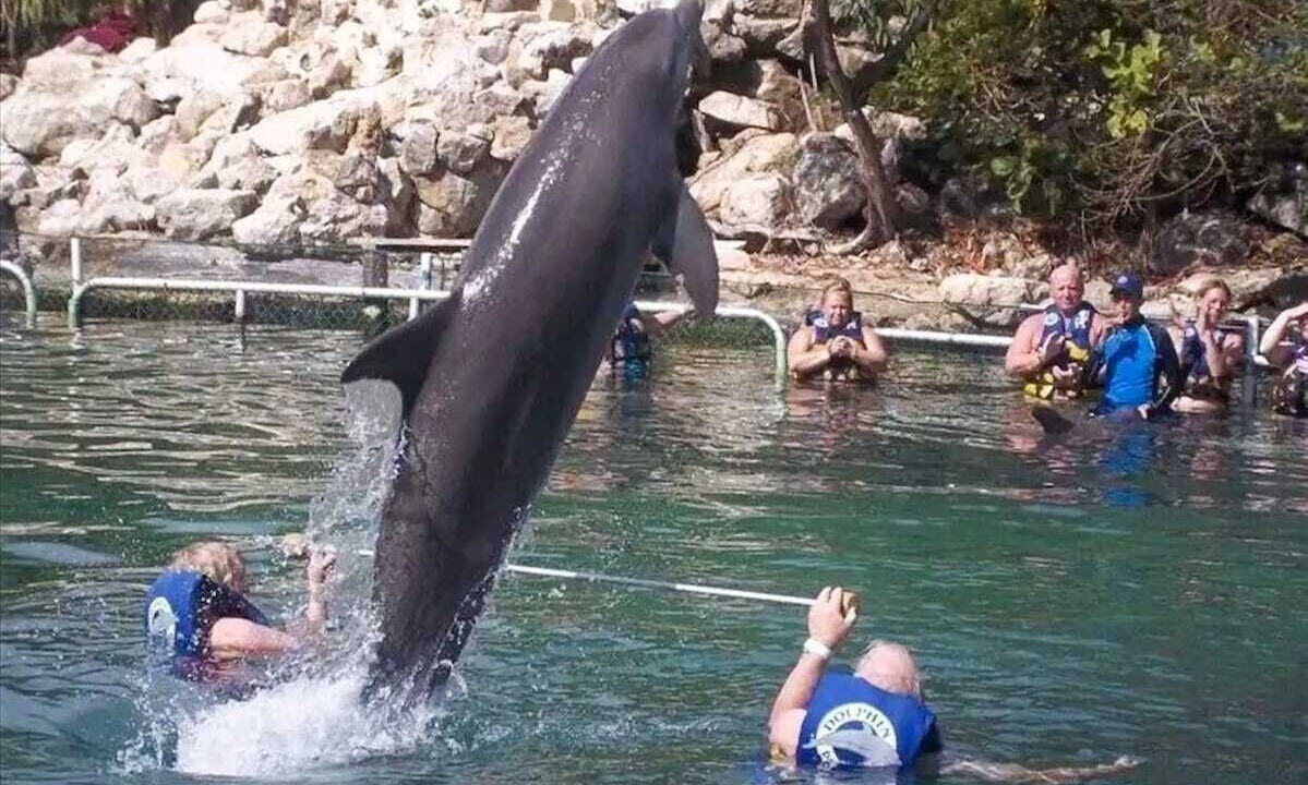 Photo of Others in Puerto Aventuras