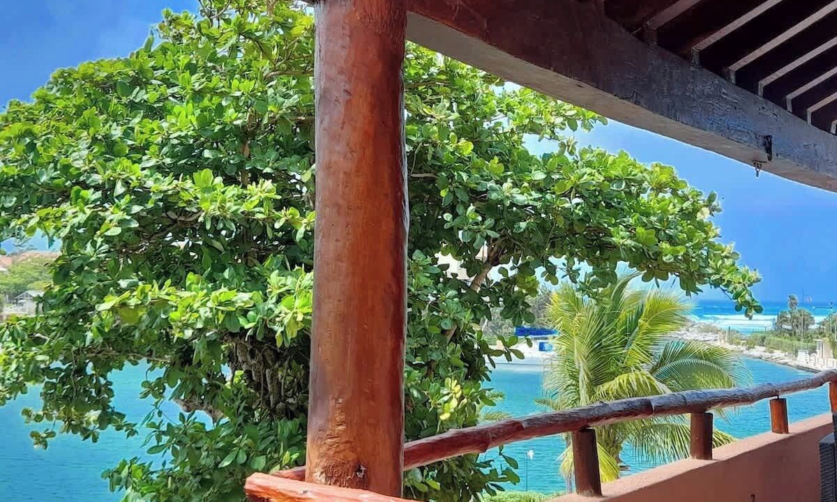 Photo of Others in Puerto Aventuras
