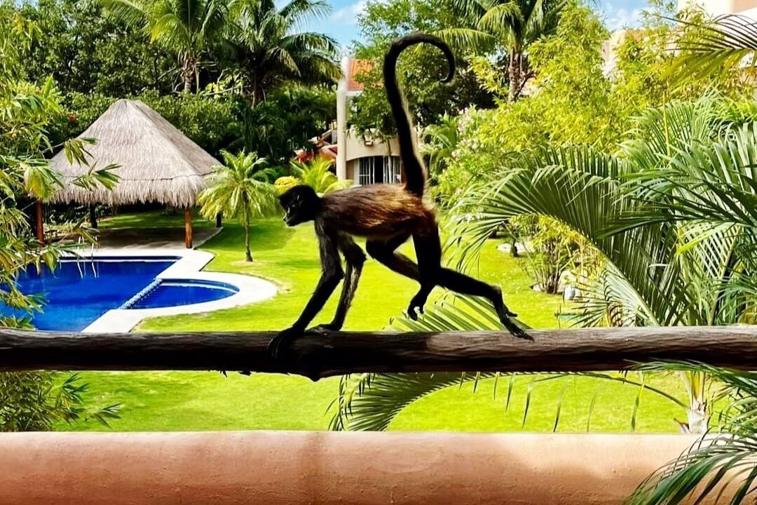 Photo of Outdoor in Puerto Aventuras
