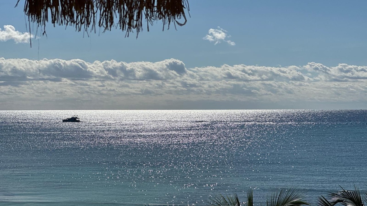 Photo of Others in Puerto Aventuras