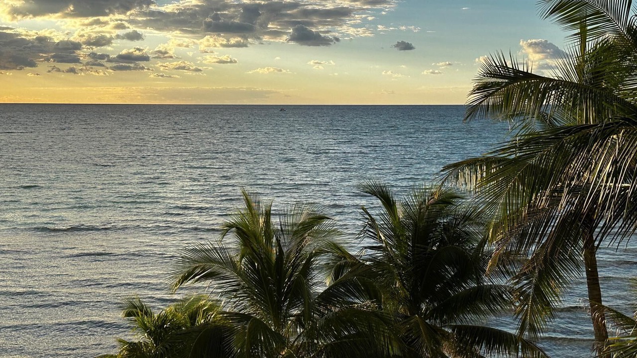 Photo of Others in Puerto Aventuras
