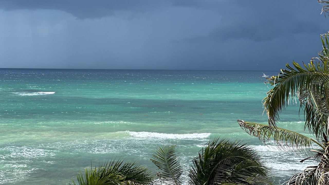 Photo of Others in Puerto Aventuras