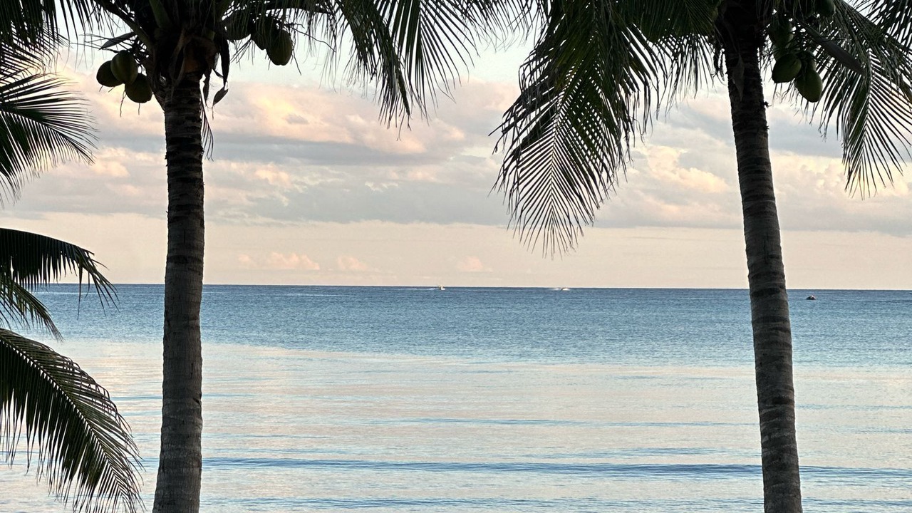 Photo of Others in Puerto Aventuras