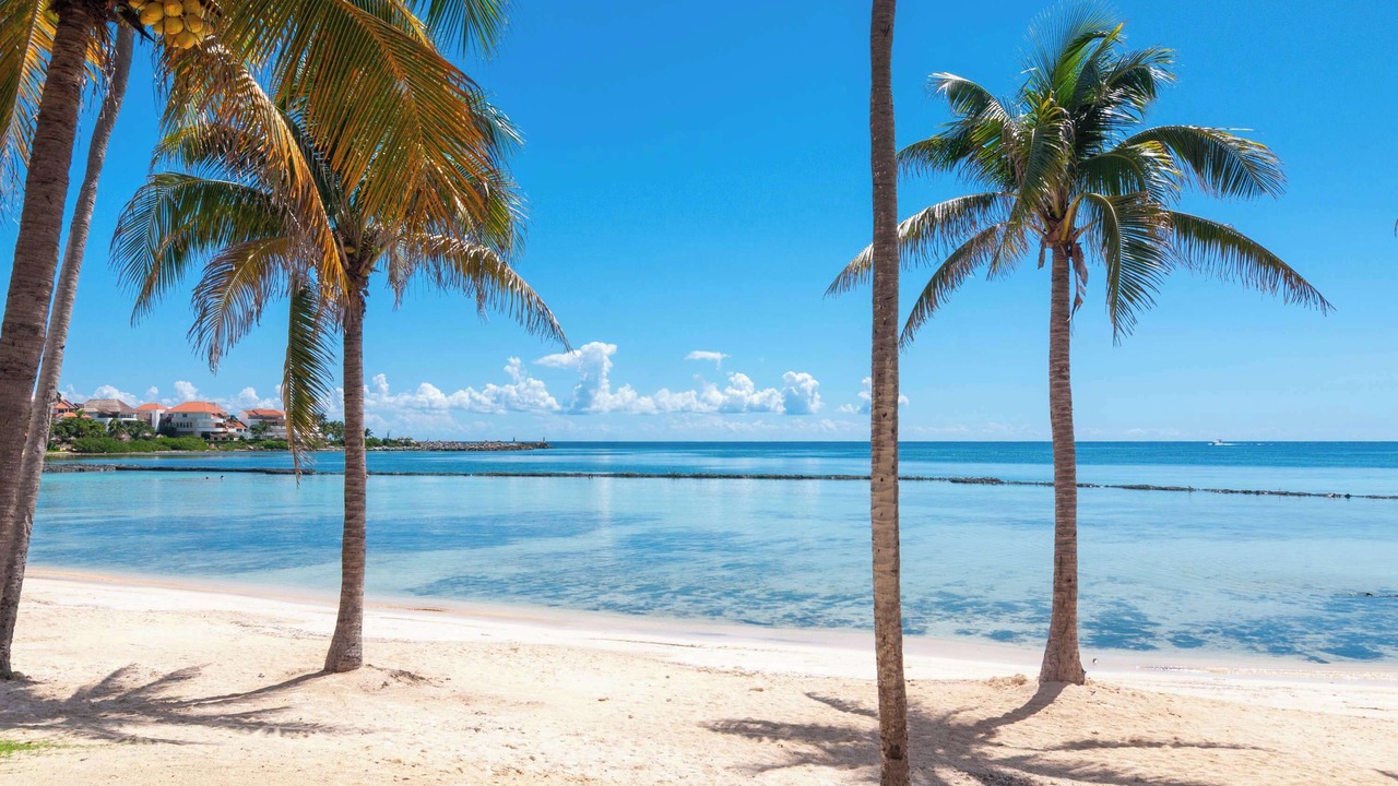 Photo of Others in Puerto Aventuras