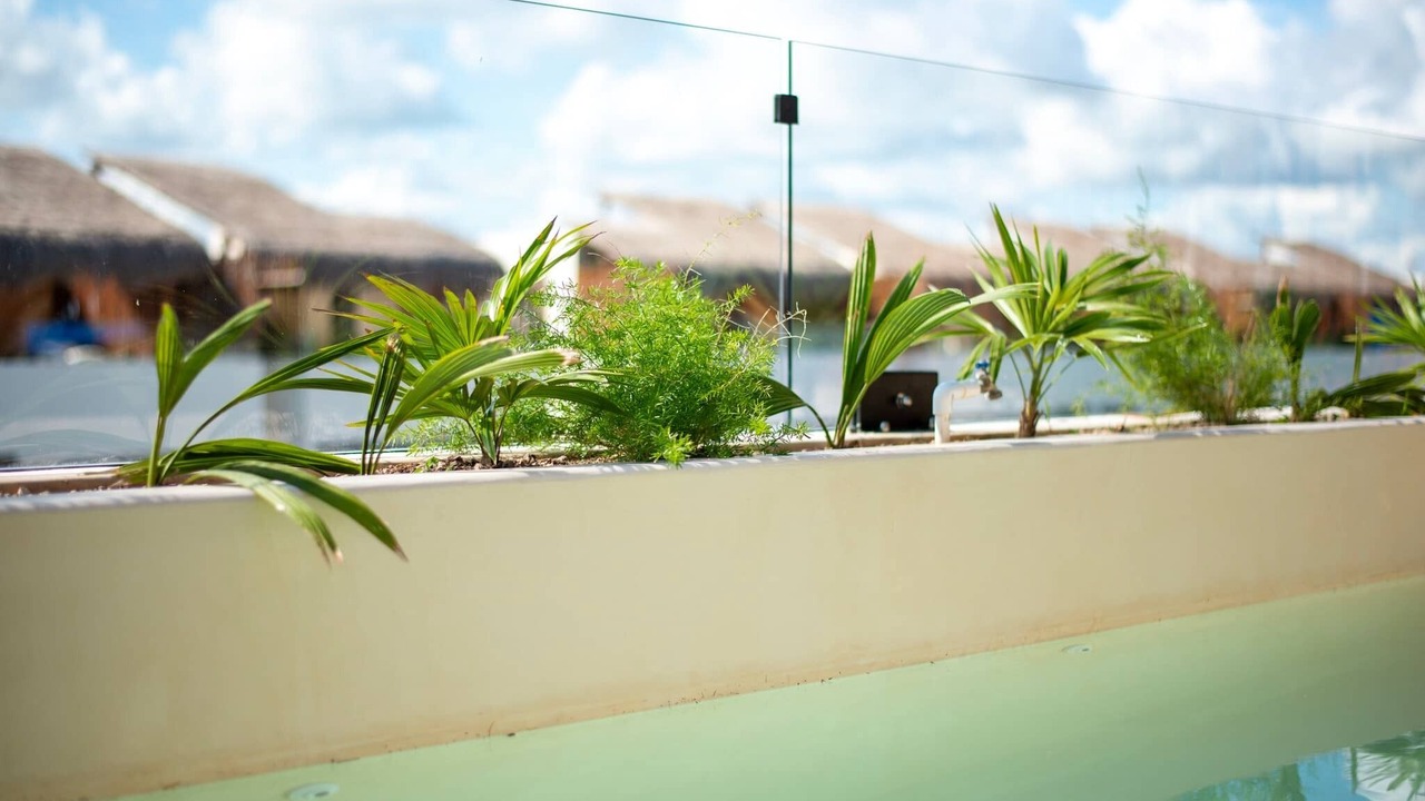 Photo of Outdoor in Playa Paraiso