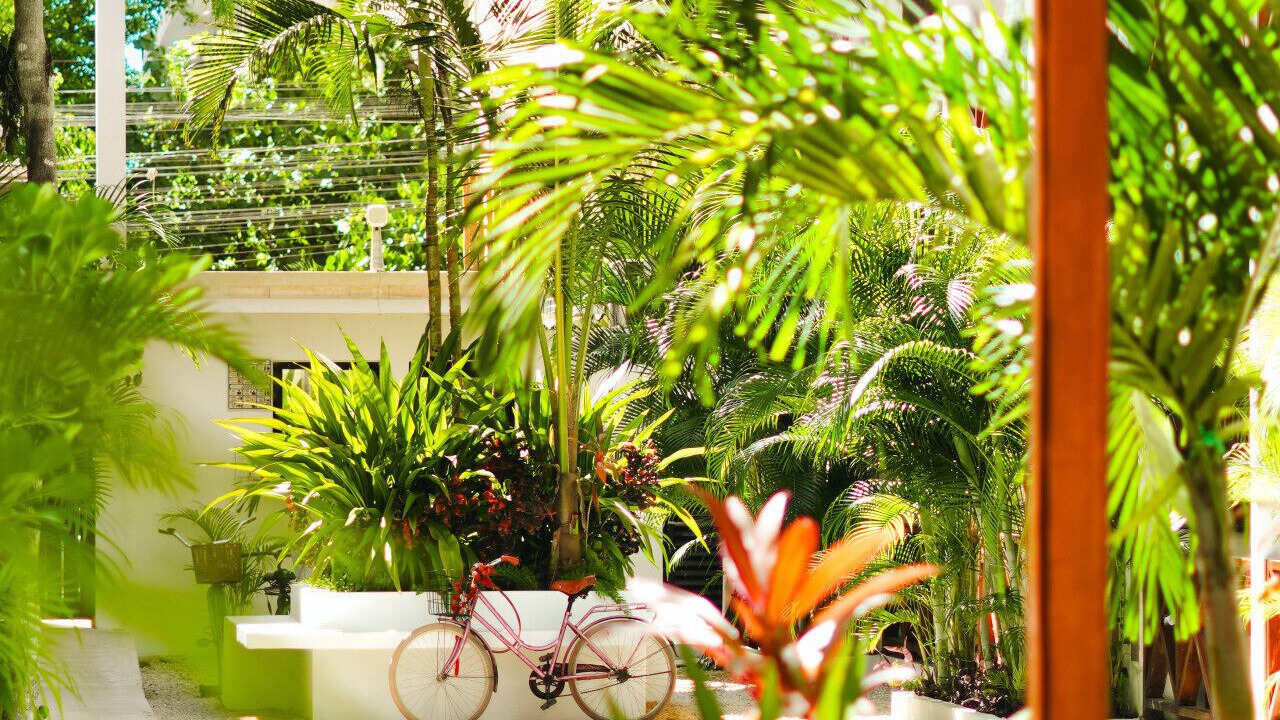 Photo of Outdoor in Tulum