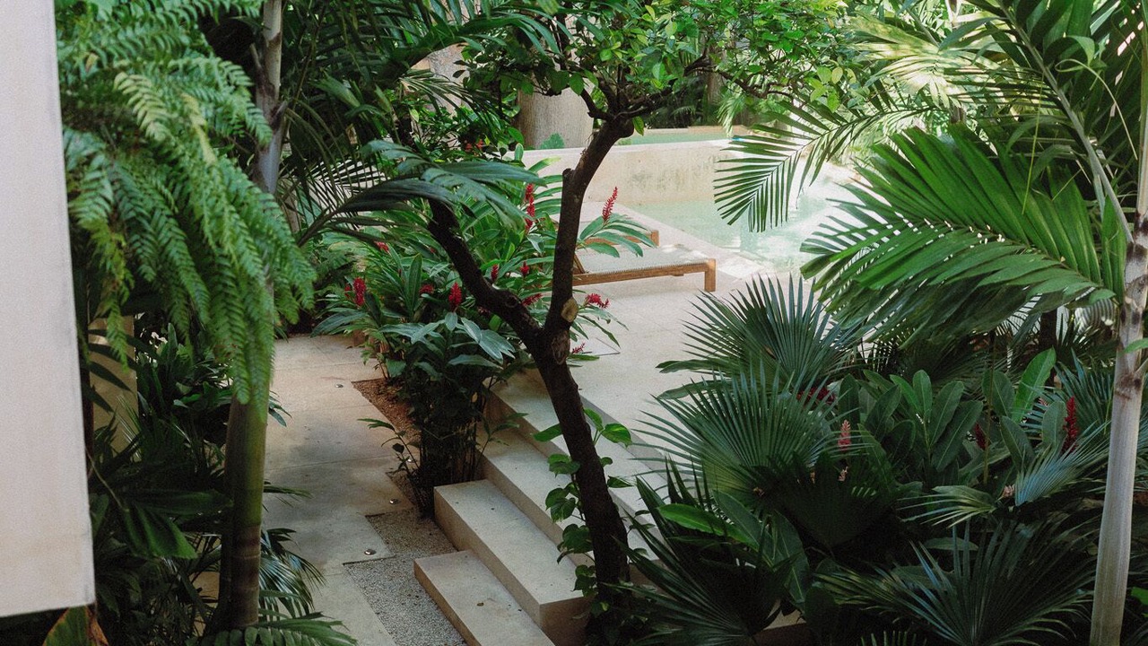 Photo of Outdoor in Barrio de Santiago