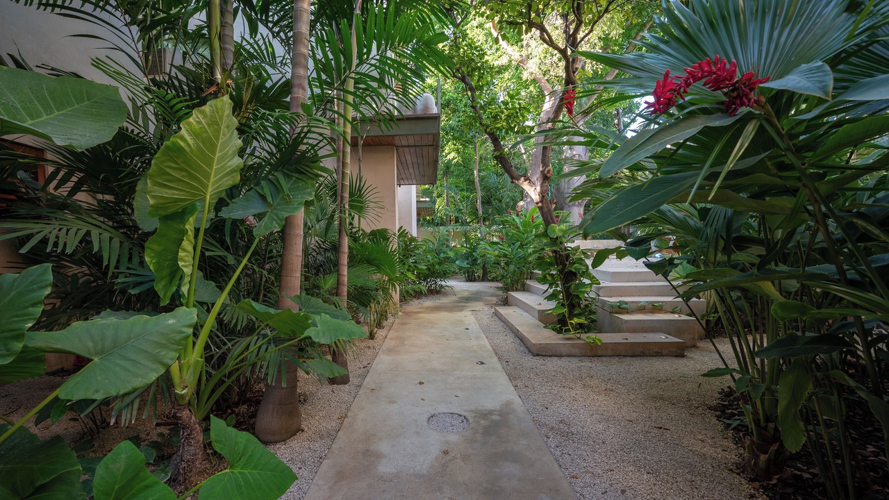 Photo of Outdoor in Barrio de Santiago
