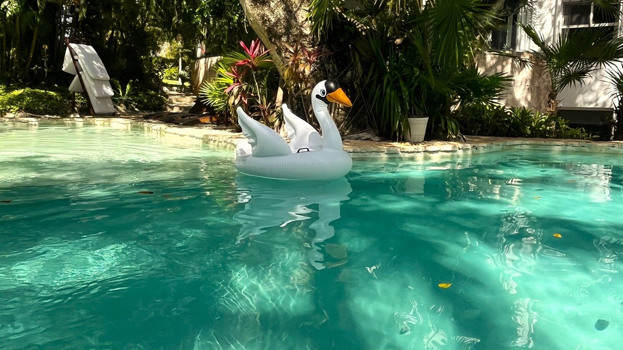 Photo of Outdoor in Playacar