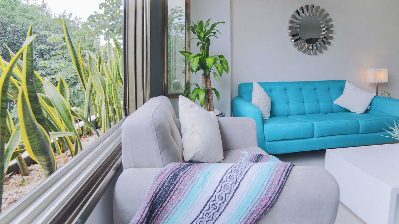 Photo of Livingroom in Gonzalo Guerrero