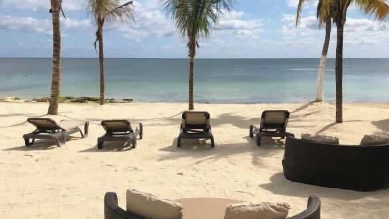Photo of Others in Puerto Morelos