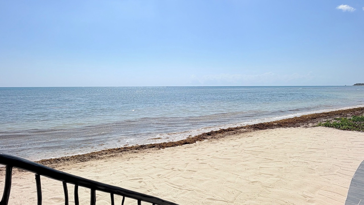 Photo of Others in Puerto Morelos