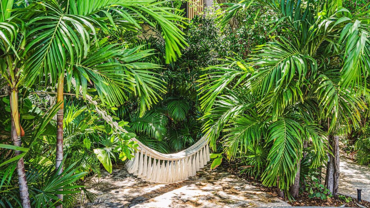Photo of Outdoor in Zama