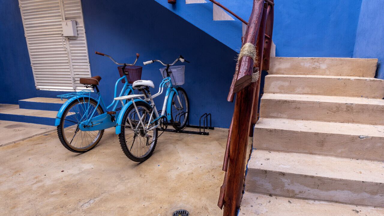 Photo of Outdoor in Luis Donaldo Colosio
