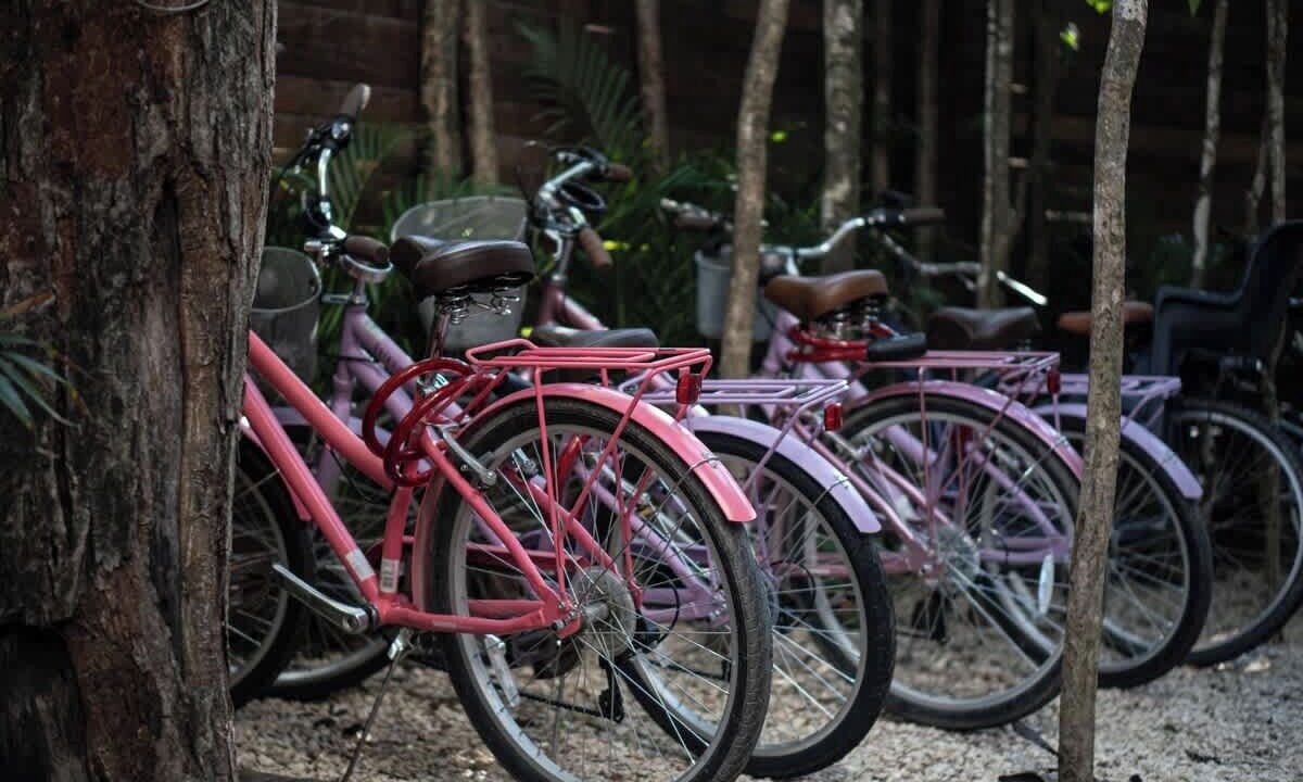 Photo of Outdoor in Tulum City Center