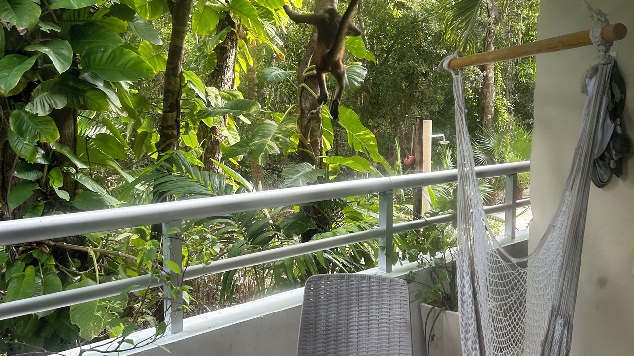Photo of Outdoor in Soliman Bay