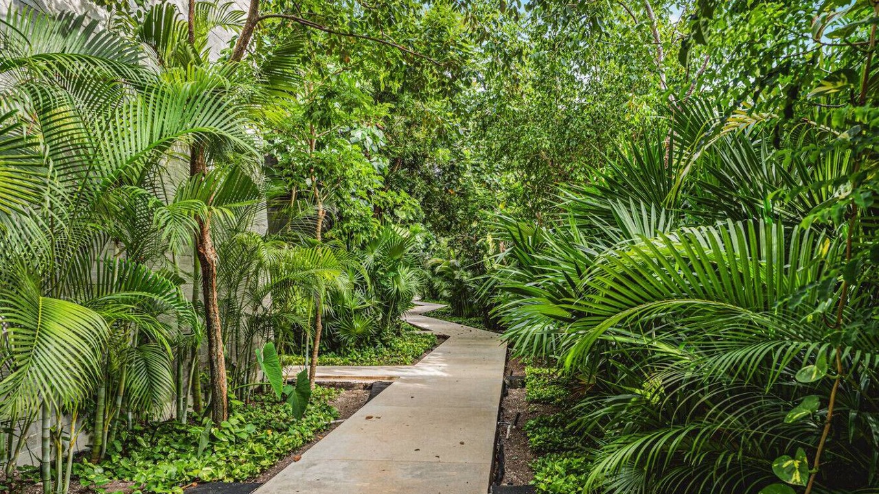 Photo of Outdoor in Tulum