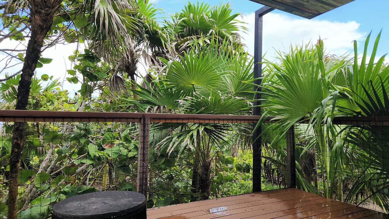 Photo of Outdoor in Tulum