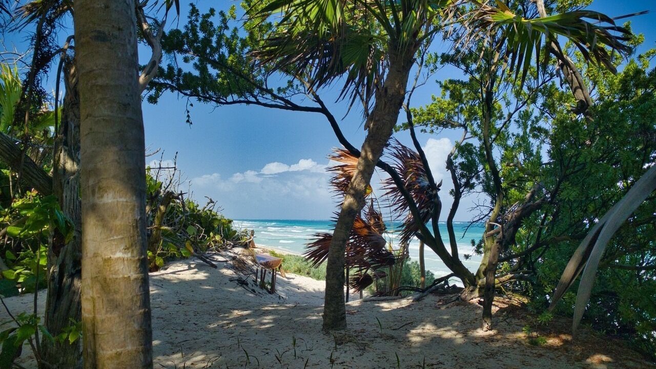 Photo of Others in Tulum