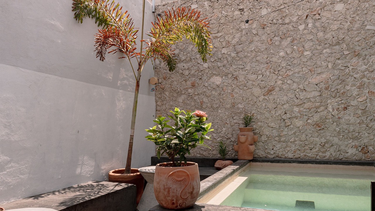 Photo of Outdoor in Centro