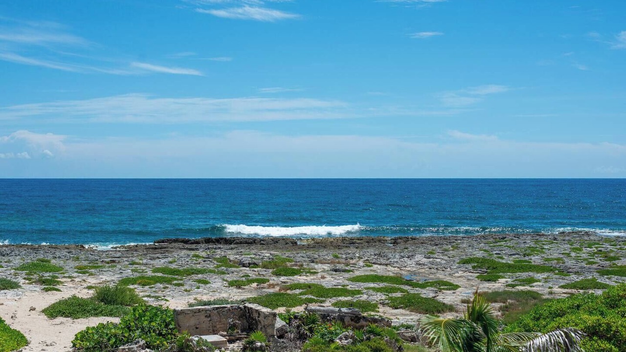 Photo of Others in Akumal