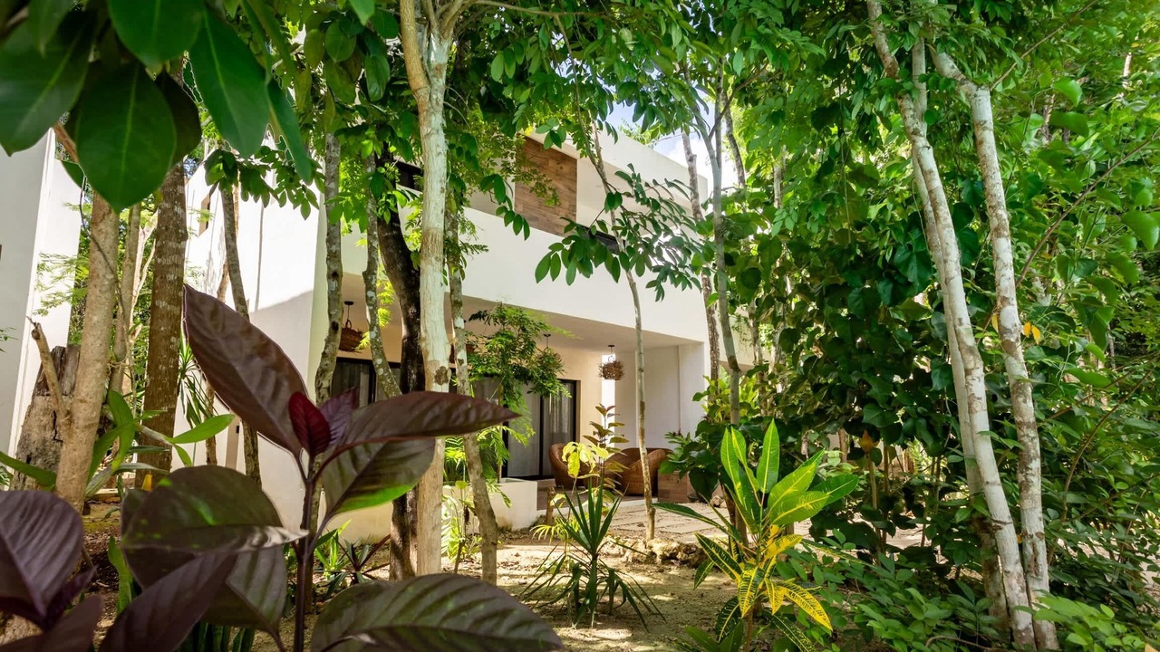 Photo of Outdoor in Buenavista
