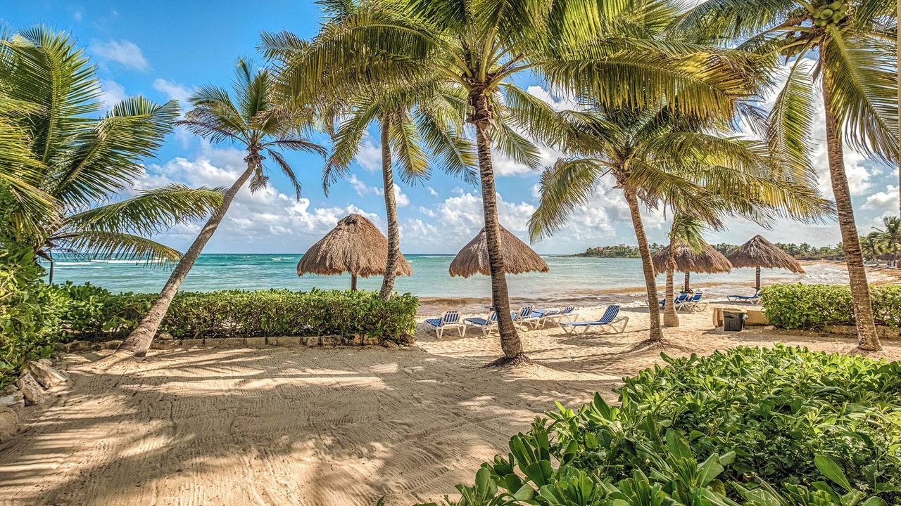 Photo of Others in Akumal