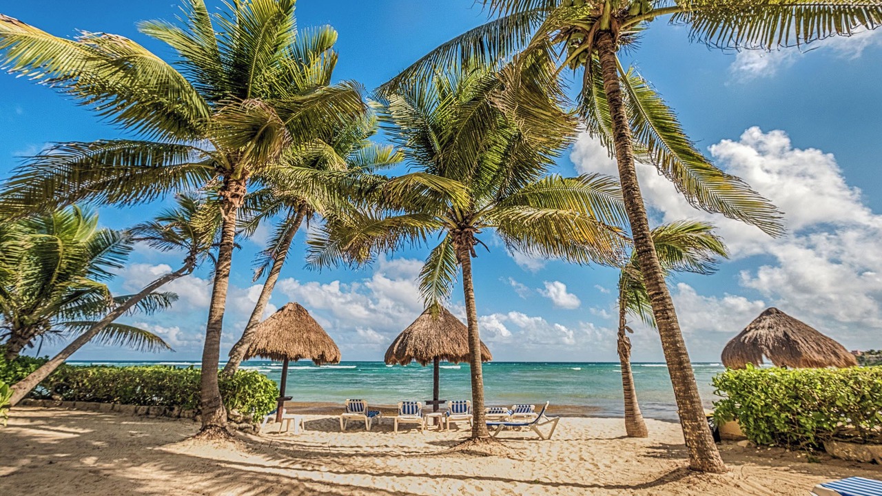 Photo of Others in Akumal