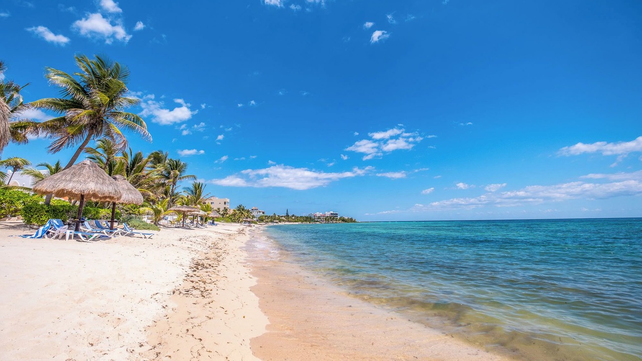 Photo of Others in Akumal