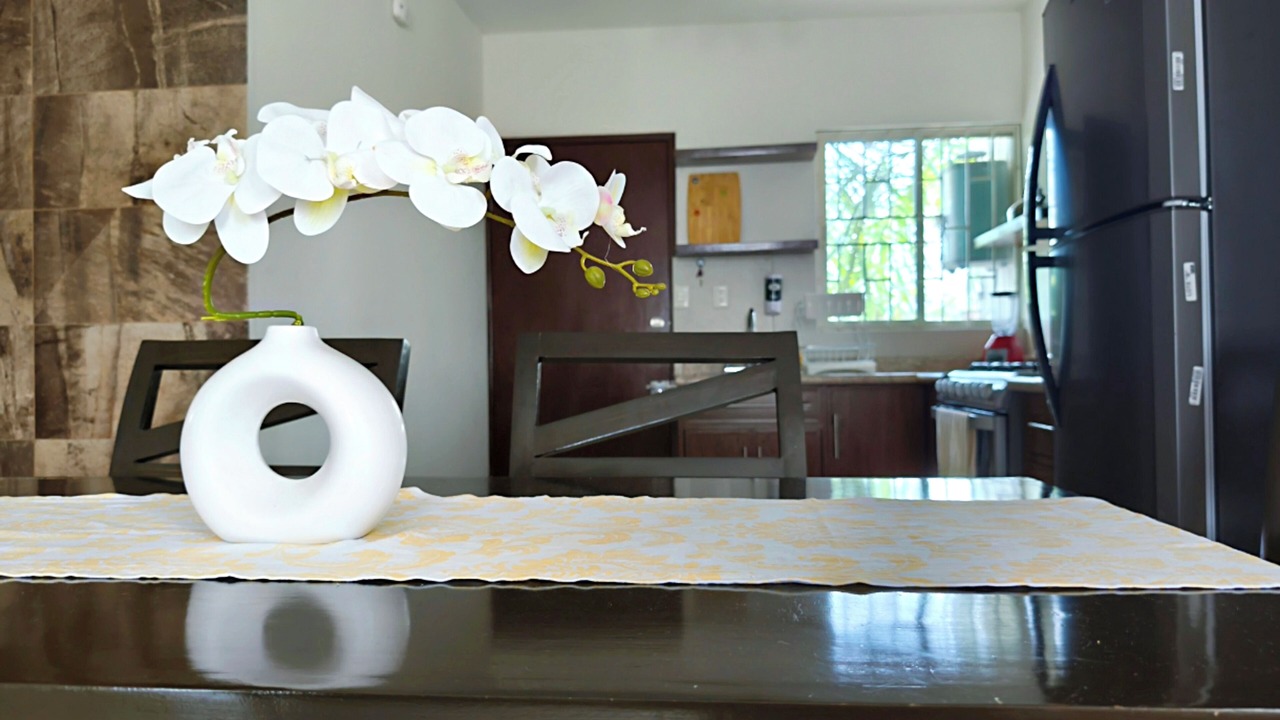 Photo of Kitchen in Tampico