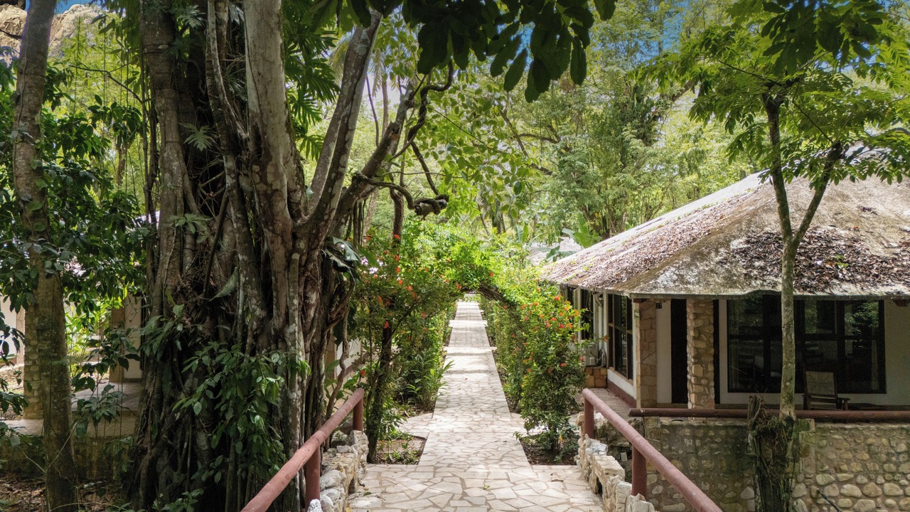Photo of Outdoor in Palenque