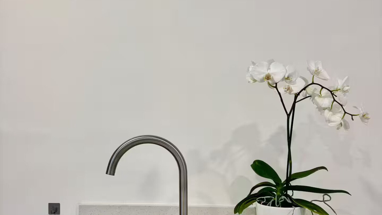 Photo of Bathroom in Merida Municipality