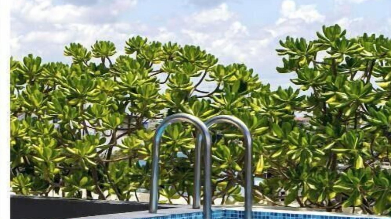 Photo of Outdoor in Luis Donaldo Colosio