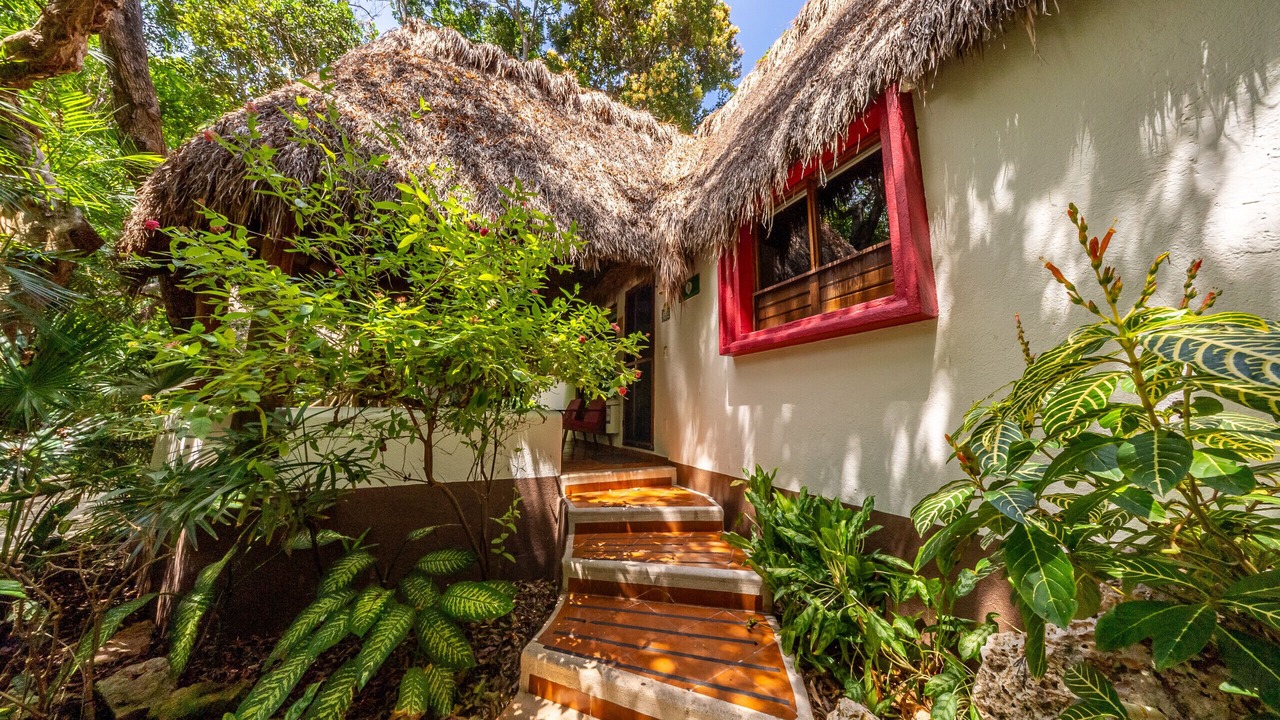 Photo of Outdoor in Gonzalo Guerrero